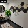 Miroirs hexagones  mural