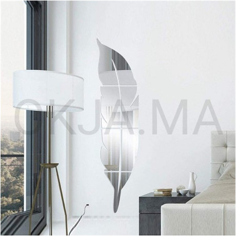 Miroirs plume